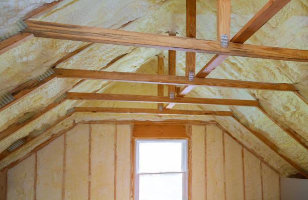 Best Insulation Installation Services in Elkhorn, WI